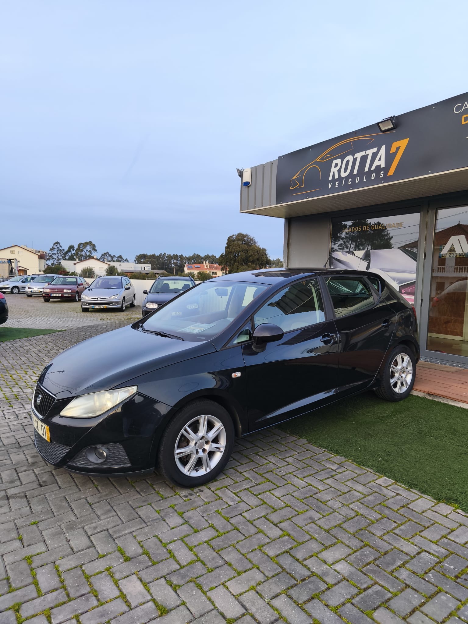 Seat Ibiza 